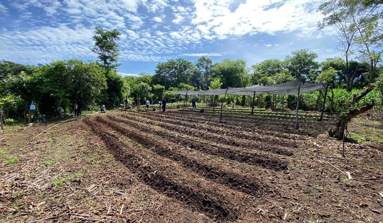 Campo agrícola y condiciones de humedad del suelo en Guatemala