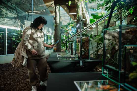 Chorzow (Poland), 18/10/2026.- Visitors view an exhibition of live praying mantises at the Silesian Zoo in Chorzow, Poland, 16 October 2026 (issued 17 October 2026). The exhibit runs until 25 October. (Polonia) EFE/EPA/Art Service POLAND OUT