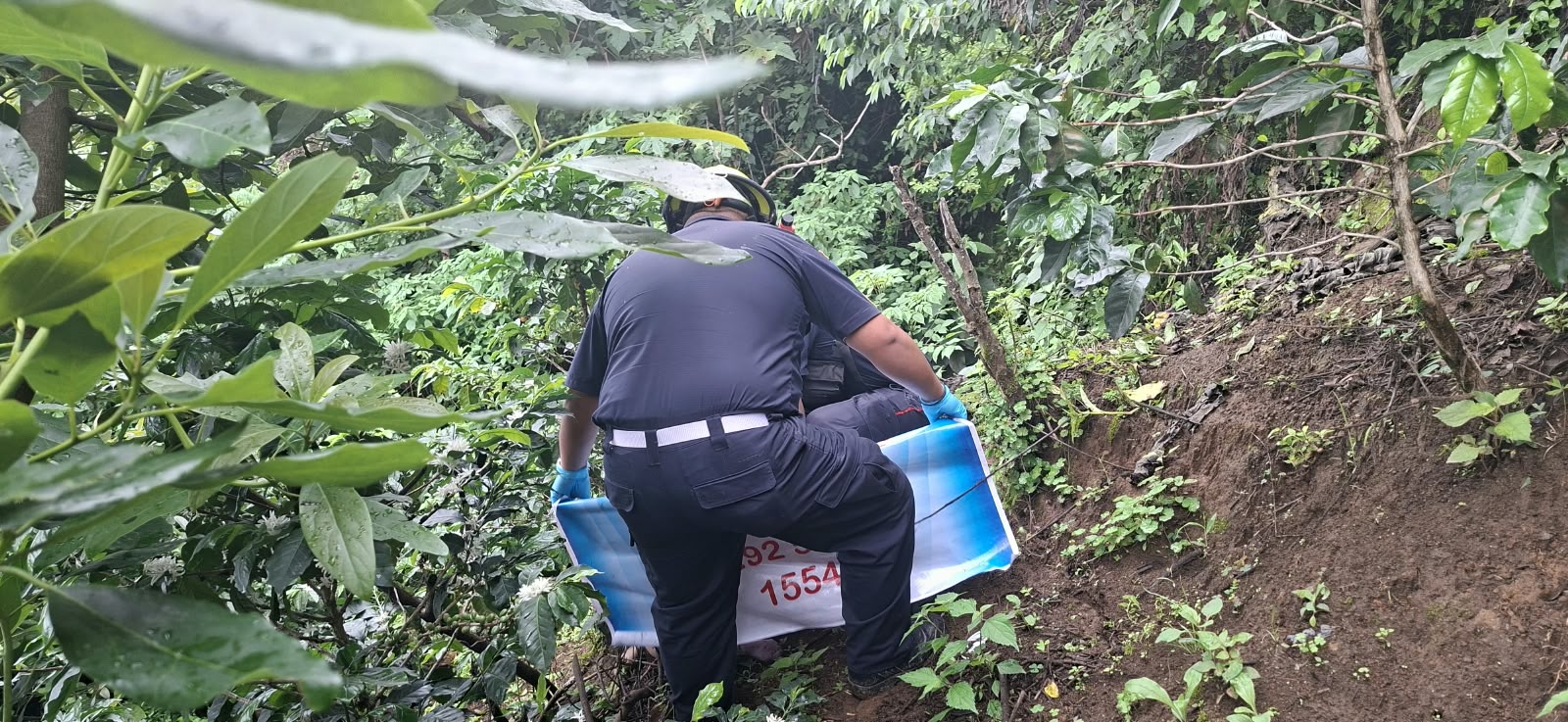 El cadáver de una niña de 5 años fue localizado en un cafetal en la ruta de Patzicía a Acatenango. (Foto Prensa Libre: Cortesía)