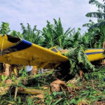 AVIONENTA ACCIDENTADA EN FINCA EN TIQUISATE, ESCUINTLA