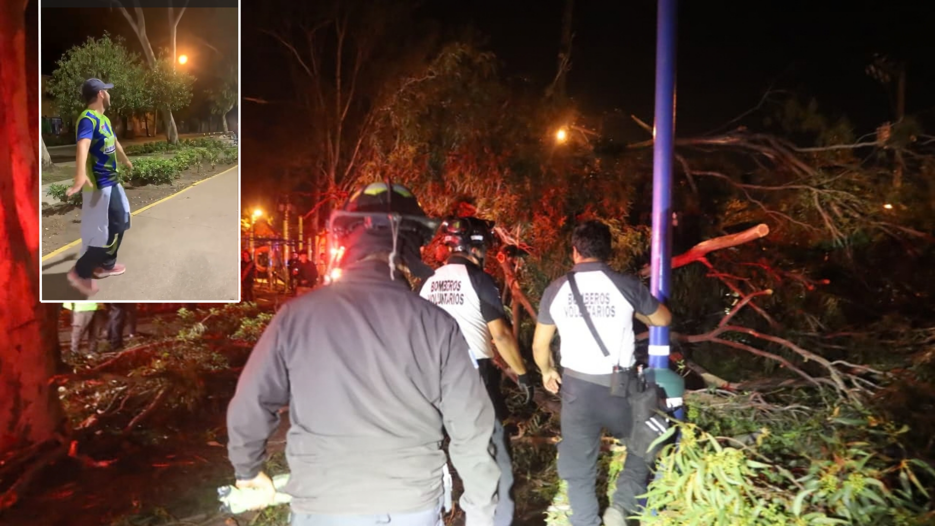 Árbol de grandes dimensiones cae sobre personas en la Plaza El Güipil, zona 3 capitalina.