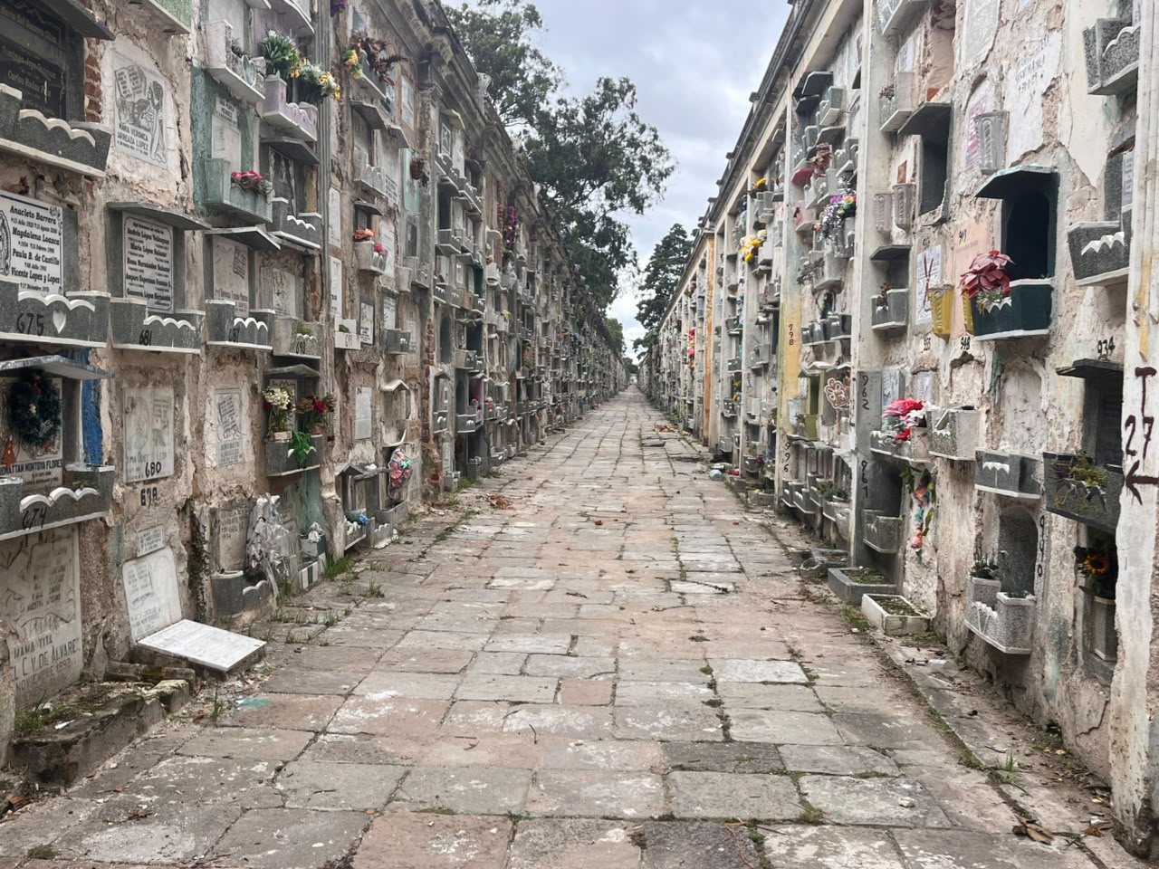 Cementerio General de la Ciudad de Guatemala zona 3 atención 31 de octubre y 1 de noviembre 2026