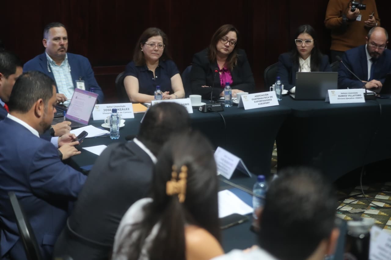 Comisión de Economía y Comercio Exterior del Congreso sector privados 20 leyes deben reformarse en Guatemala