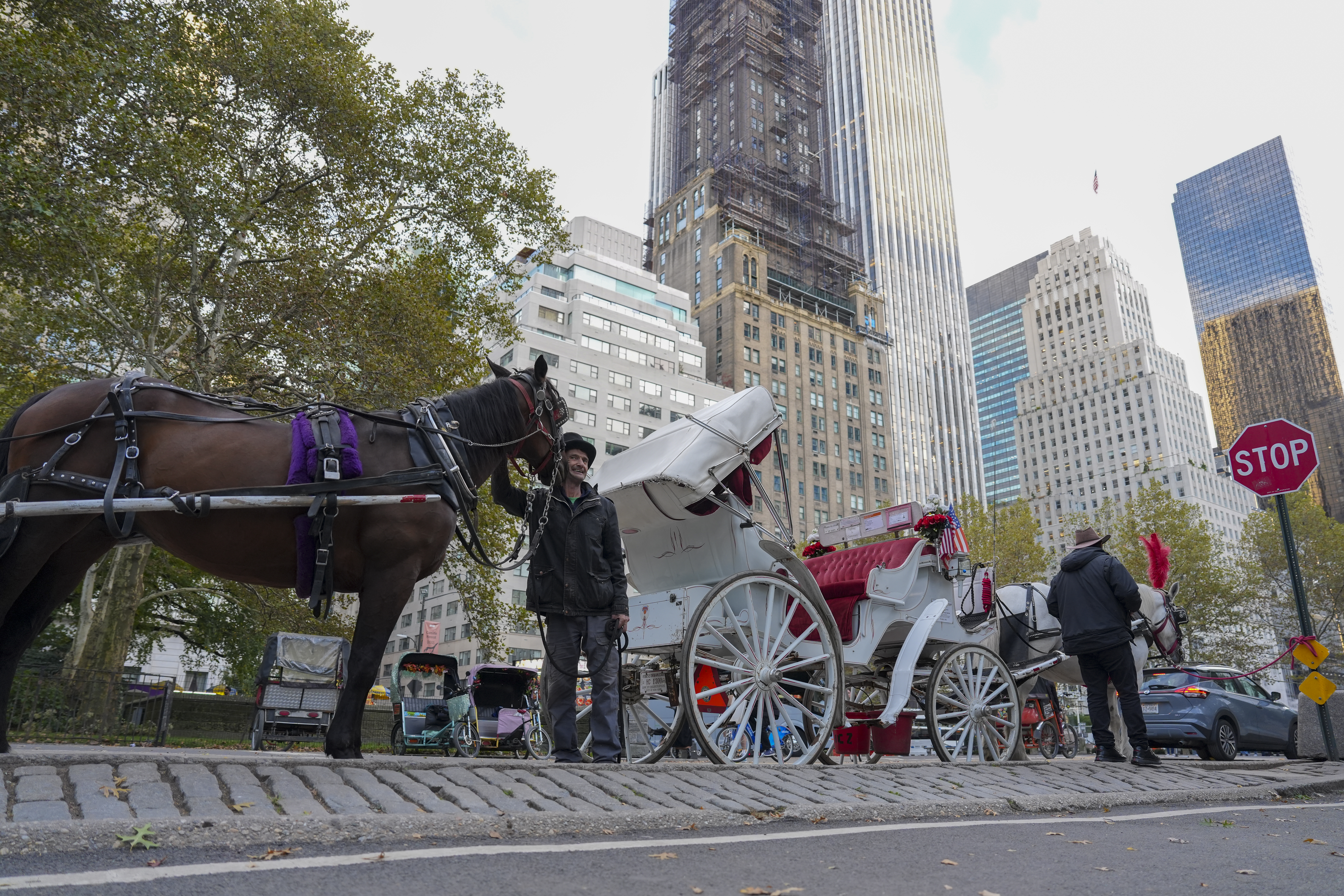 Un caballo tira de un carruaje turístico en Central Park, Nueva York, donde una ley aprobada prevé prohibir esta actividad a partir de junio de 2028. (Foto Prensa Libre: EFE)
