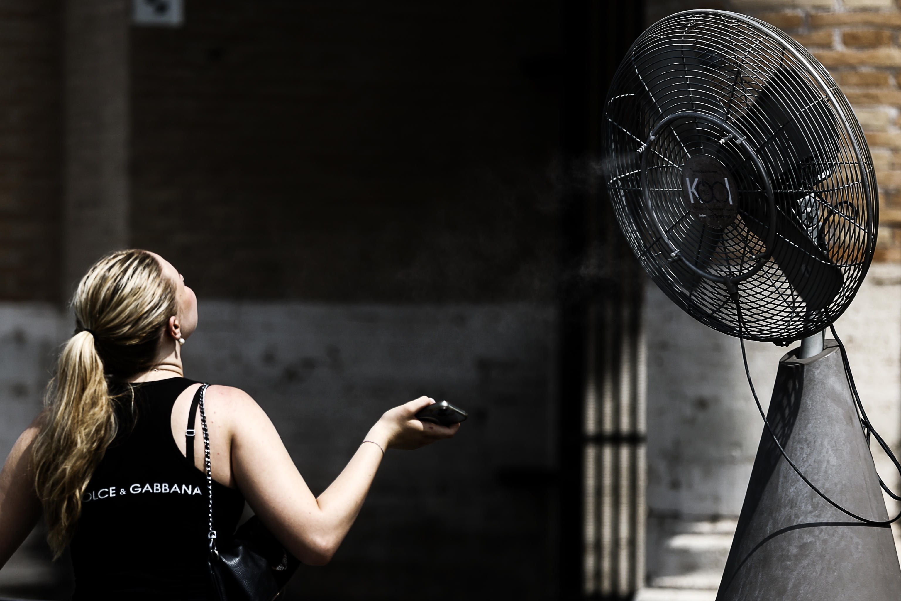 Ola de calor