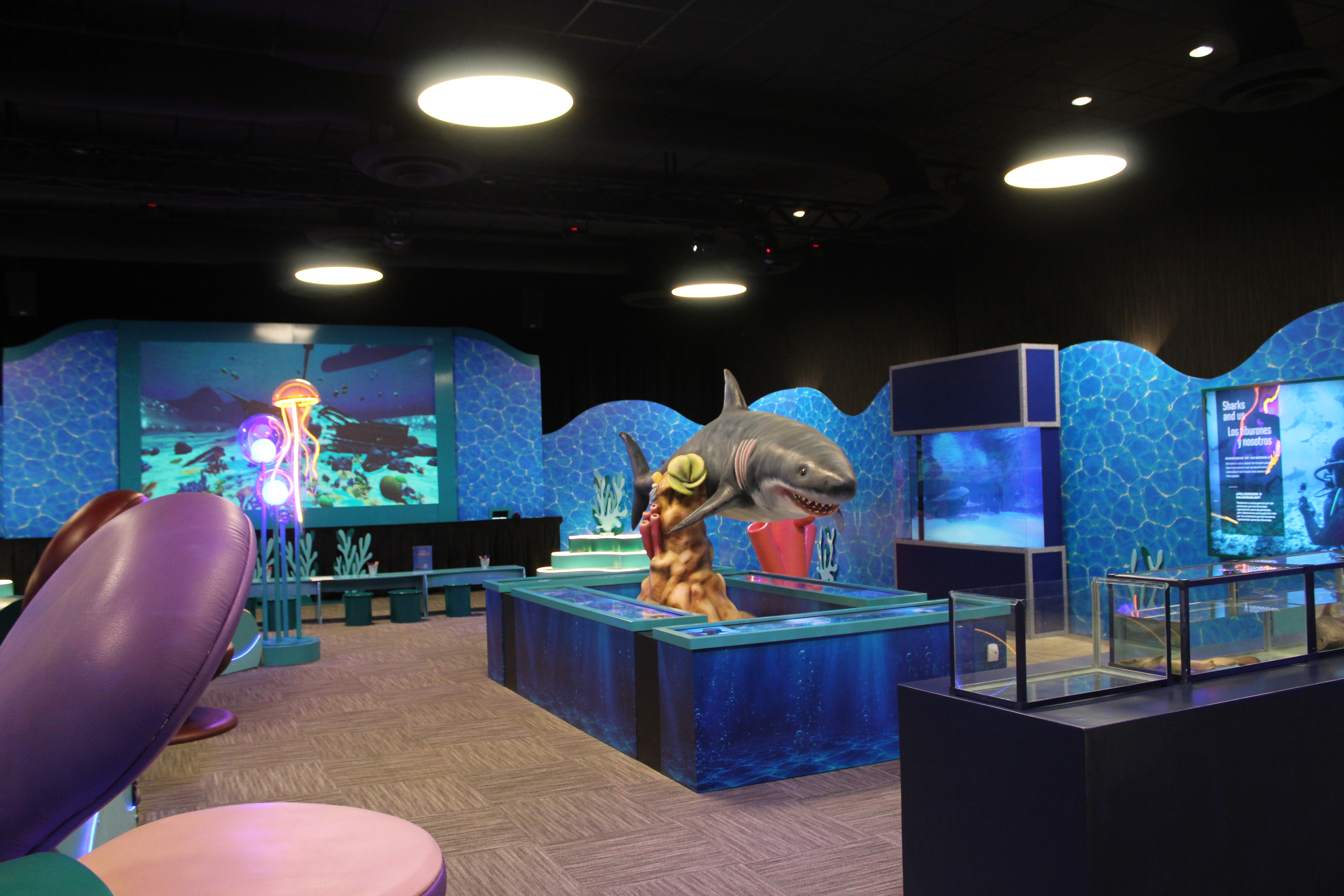 (Foto Prensa Libre: Museo Miraflores)