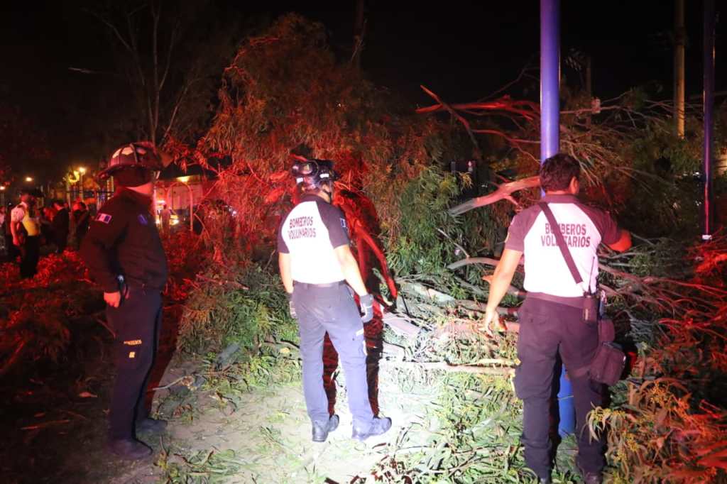 Bomberos Voluntarios trabajan en la atención de la emergencia provocada por la caída de un árbol de grandes dimensiones.