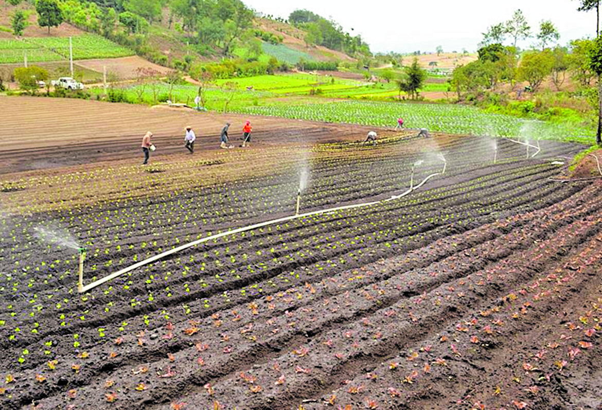 Sistema de riego utilizado en la agricultura