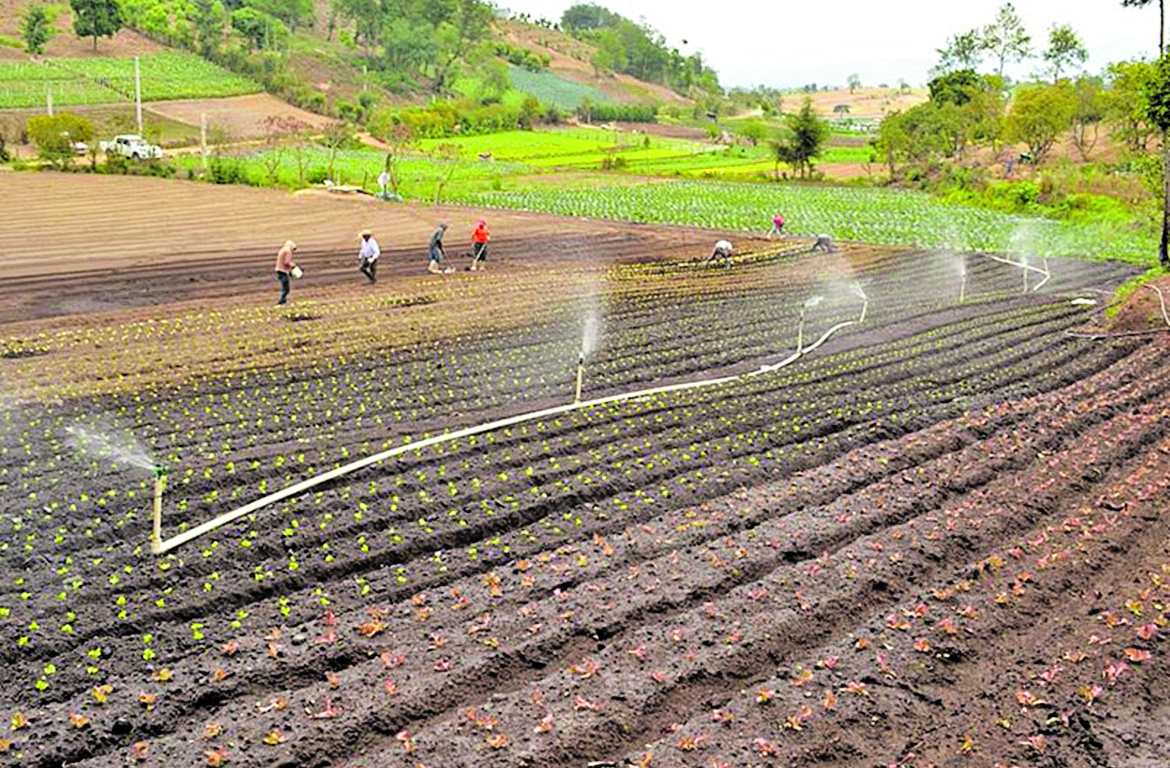 Sistema de riego utilizado en la agricultura