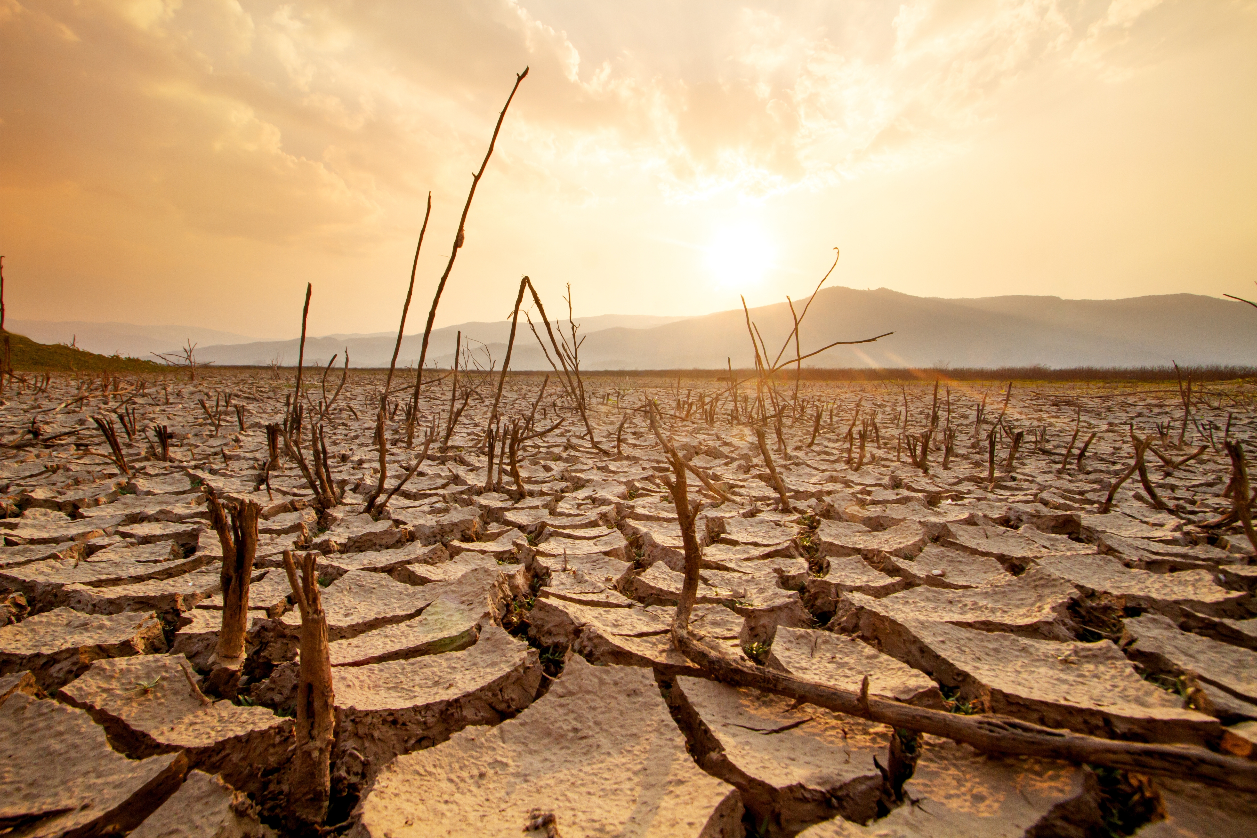 Foto de referencia. La sequía causada por El Niño causa preocupación en países como El Salvador por los daños en la agricultura que podría causar. (Foto Prensa Libre: Shutterstock)
