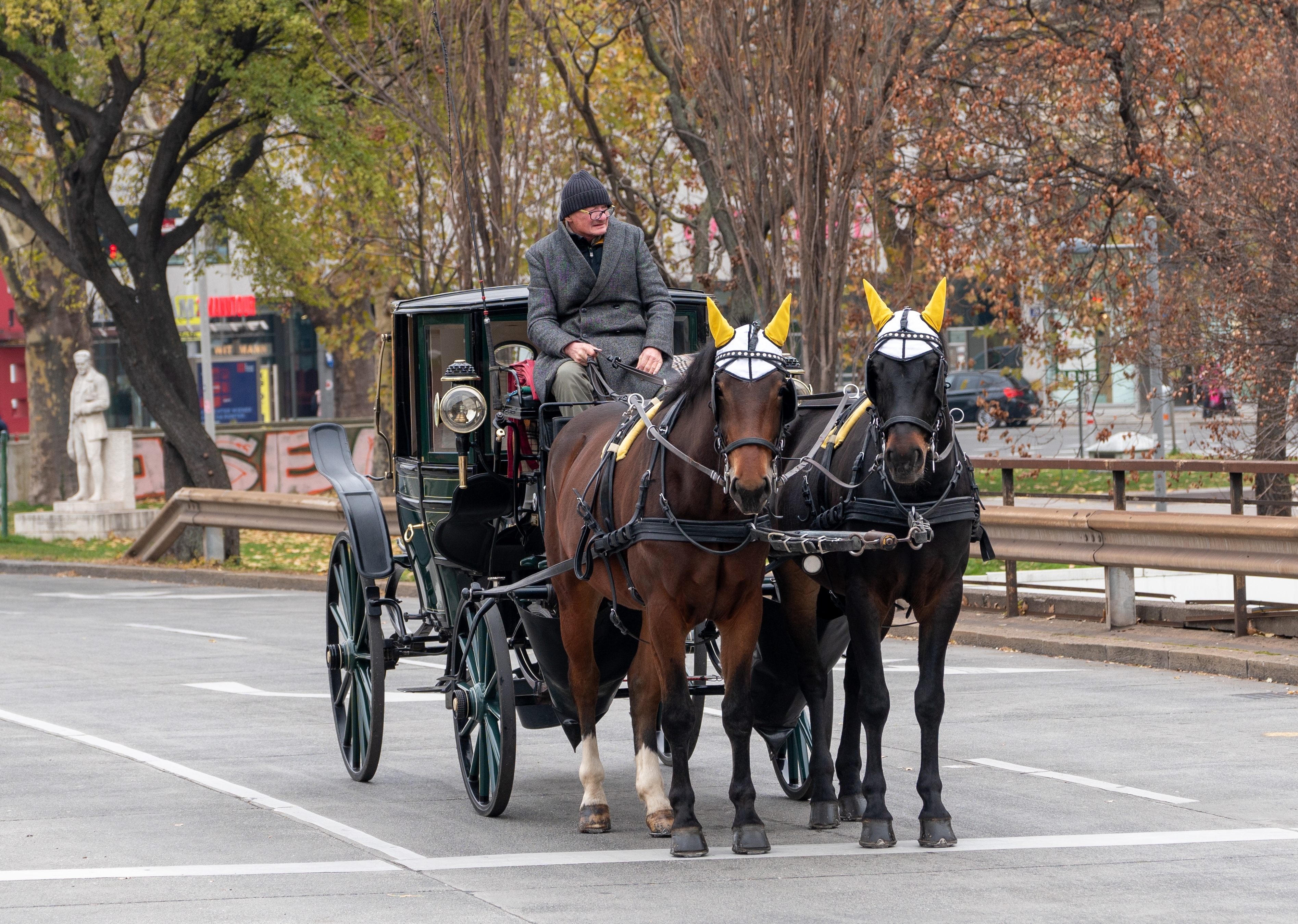 Foto de referencia. Los tradicionales carruajes tirados por caballos forman parte del paisaje turístico de Central Park, en Nueva York, pero su futuro podría cambiar en 2028. (Foto Prensa Libre: Shutterstock)