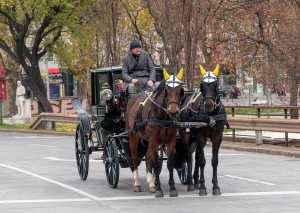 ¿Por qué Nueva York busca prohibir los carruajes tirados por caballos en Central Park a partir de 2